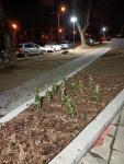 Imagine atasata: IMG20220129183920.jpg